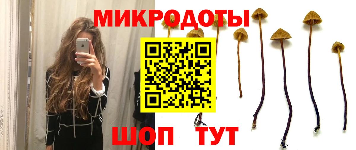 Кострома  Псилоцибиновые грибы MAGIC MUSHROOMS  Вход с VPN 
